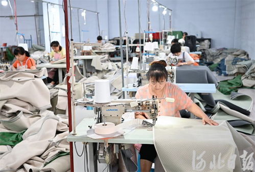 河北深澤 合作共贏促發(fā)展，家居用品產(chǎn)業(yè)綻放新活力